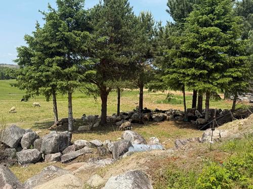 Cour - 827 Route 391, Rémigny, QC 