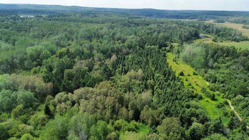 Vue d'ensemble - 827 Route 391, Rémigny, QC 