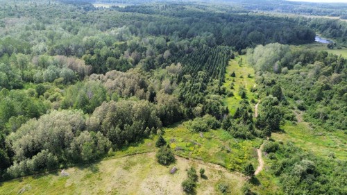 Overall view - 827 Route 391, Rémigny, QC 