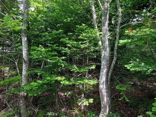 Lot 22 Kopylov Lane, Kempt Road, NS 