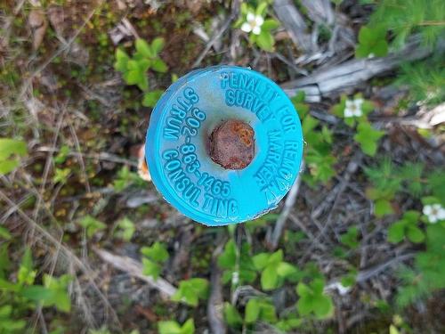 Lot 22 Kopylov Lane, Kempt Road, NS 