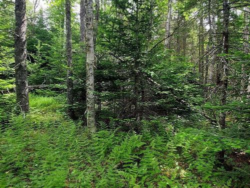 Lot 22 Kopylov Lane, Kempt Road, NS 