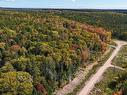 Lot 22 Kopylov Lane, Kempt Road, NS 