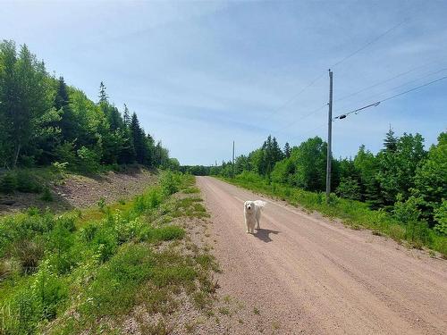 Lot 22 Kopylov Lane, Kempt Road, NS 
