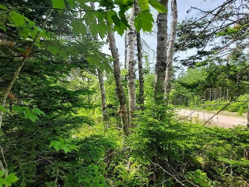 Lot 22 Kopylov Lane, Kempt Road, NS 