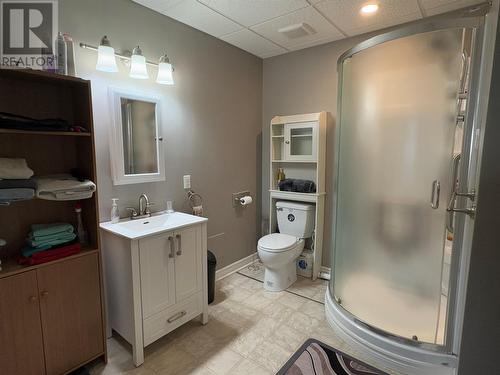 18 Mccarthy’S Lane, Kippens, NL - Indoor Photo Showing Bathroom