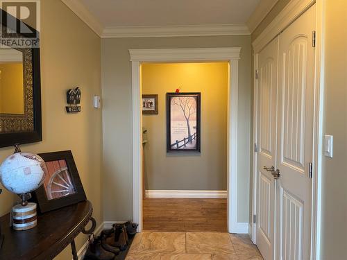 18 Mccarthy’S Lane, Kippens, NL - Indoor Photo Showing Other Room