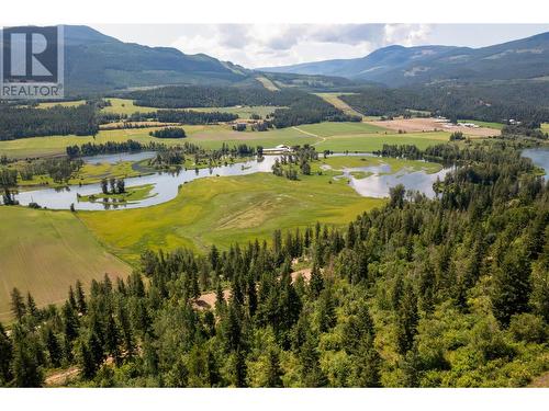 1471 Enderby Mabel Lake Road, Enderby, BC 