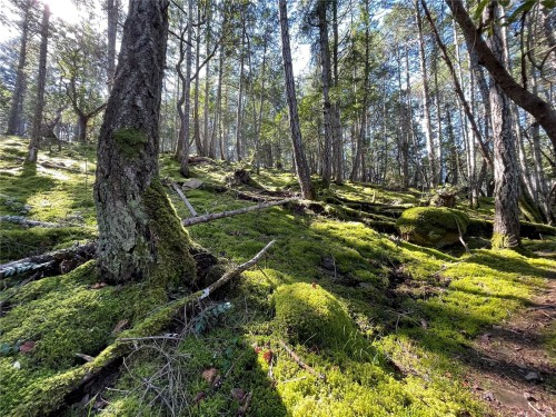 Lot 145 Coho Blvd, Mudge Island, BC 