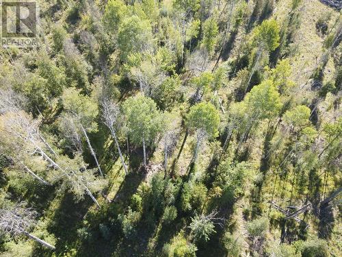 7826 3 Highway, Yahk, BC - Outdoor With View