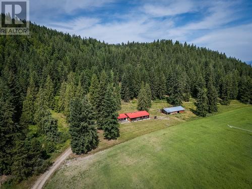 1053 Ptarmigan Road, Chase, BC - Outdoor With View