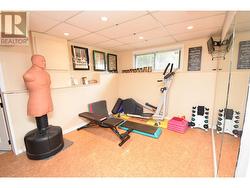 Gym area in lower level - 