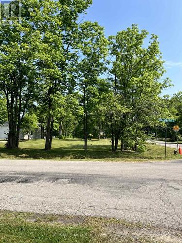 Lot 5 Centre Street S, Brant, ON 