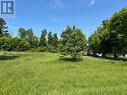 Lot 1 of 2 available lots - 0 County Rd 12 Road, North Stormont, ON 