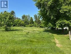 00 COUNTY RD 12 ROAD  North Stormont, ON K0C 2K0