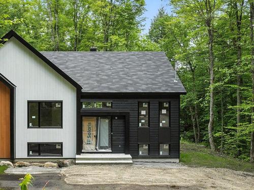 89 Ch. des Monts  Val-Des-Monts, QC J8N 2L2