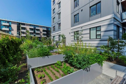 418-1115 Johnson St, Victoria, BC - Outdoor