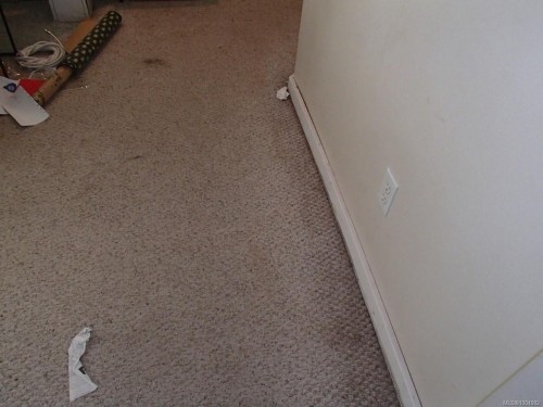 1526 Stag Rd, Campbell River, BC 