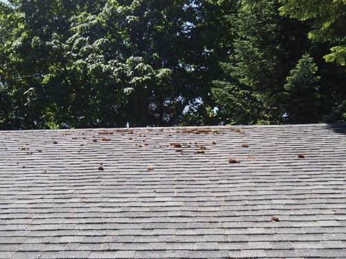 1526 Stag Rd, Campbell River, BC 