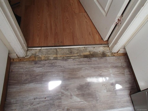 1526 Stag Rd, Campbell River, BC 