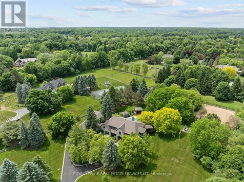 Welcome to Greystone, Nestled on 3.5 Acres! - 2315 8 Sideroad, Burlington, ON - Outdoor With View