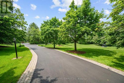 Nestled on 3.5 Acres Behind a Gated Winding Drive! - 2315 8 Sideroad, Burlington, ON - Outdoor