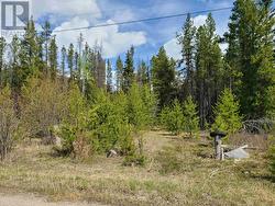 2300 MAIN STREET  Valemount, BC V0E 2Z0