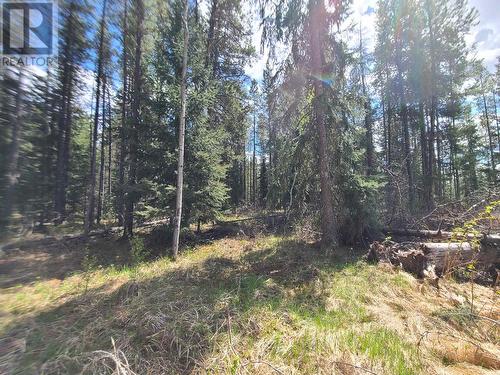 2300 Main Street, Valemount, BC 