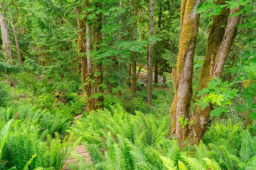 5625 Willow Rd, Port Alberni, BC 