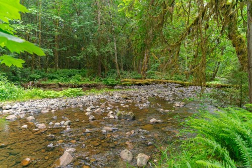 5625 Willow Rd, Port Alberni, BC 