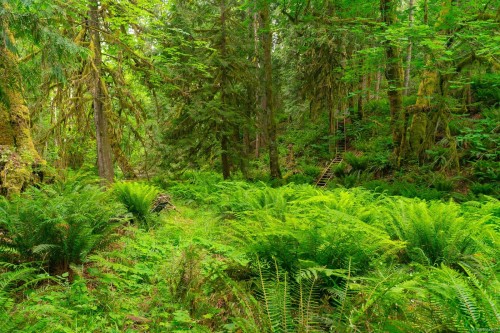 5625 Willow Rd, Port Alberni, BC 