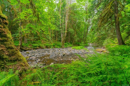 5625 Willow Rd, Port Alberni, BC 