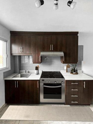 Other - 6-10061 Boul. St-Michel, Montréal (Montréal-Nord), QC - Indoor Photo Showing Kitchen With Double Sink