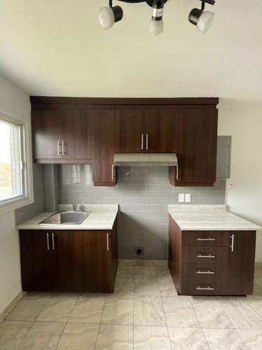 Kitchen - 6-10061 Boul. St-Michel, Montréal (Montréal-Nord), QC - Indoor Photo Showing Kitchen With Double Sink