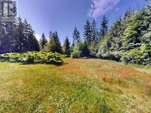 12123 Scotch Fir Point Rd, Powell River, BC - Outdoor With View