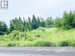 000 LASSWADE ROAD  North Kawartha, ON K0L 1A0