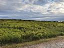 Chemin Simeon Aucoin Road, St. Joseph Du Moine, NS 