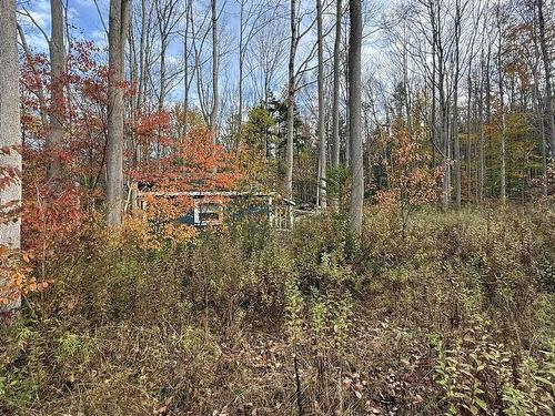 403 Easton Road, Hilltown, NS 