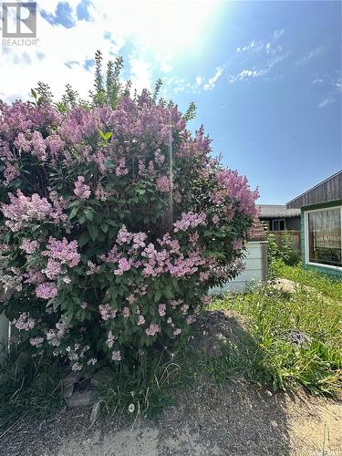 261 Bean Crescent, Weyburn, SK - Outdoor