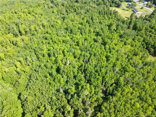 Lot 165 Rte, Meductic, NB 