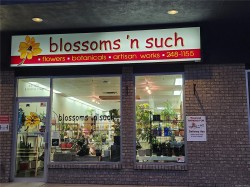 2-102 Island Hwy EAST Parksville, BC V9P 2G8