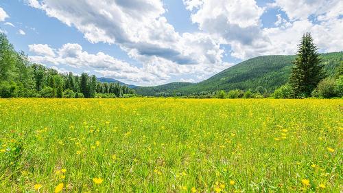 7957 Highway 3, Yahk, BC - Outdoor With View