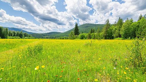 7957 Highway 3, Yahk, BC - Outdoor With View