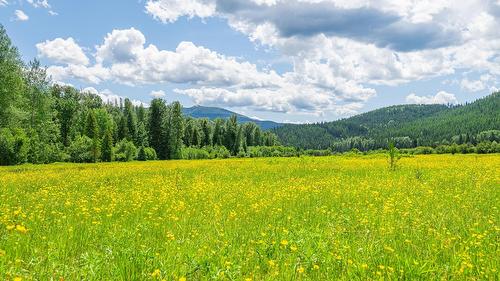 7957 Highway 3, Yahk, BC - Outdoor With View