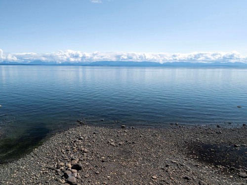 7884 Lenwood Rd, Merville, BC 