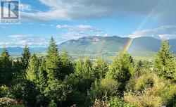 402 Princess Street  Enderby, BC V0E 1V1