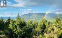 402 Princess Street Enderby, BC V0E 1V1