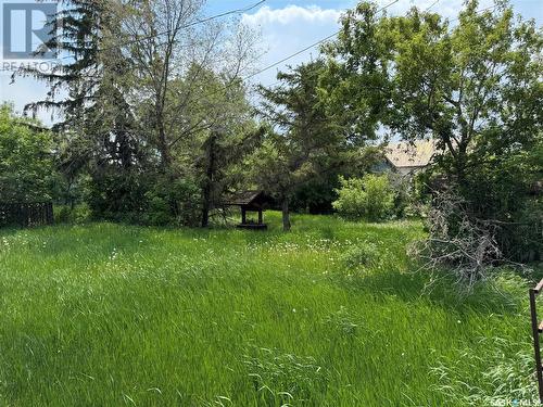 823 Main Street, Holdfast, SK - Outdoor