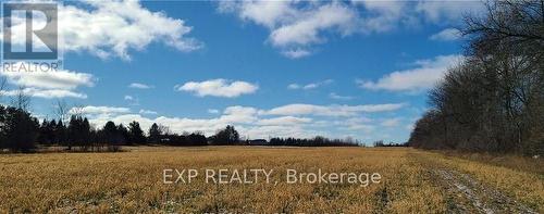 208 Drive-In Road, Laurentian Valley, ON 