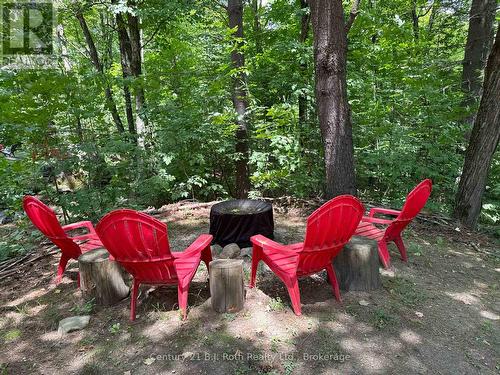 767 Poplar Crescent, Bracebridge (Macaulay), ON - Outdoor With Deck Patio Veranda